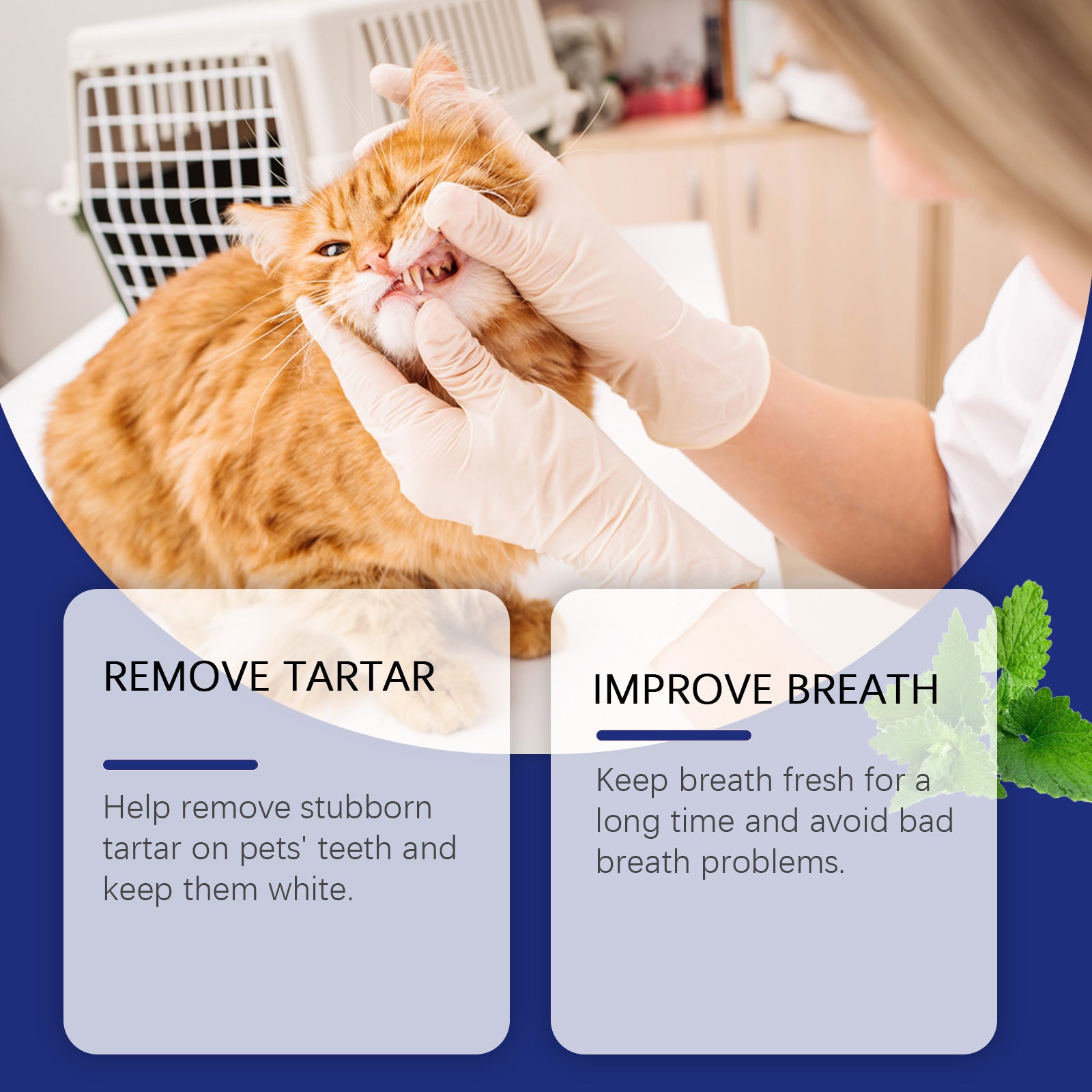 Pet Teeth Cleaning Powder for Stain and Tartar Removal